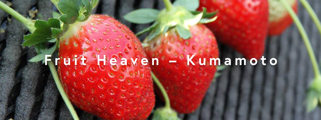 Fruit Heaven – Kumamoto