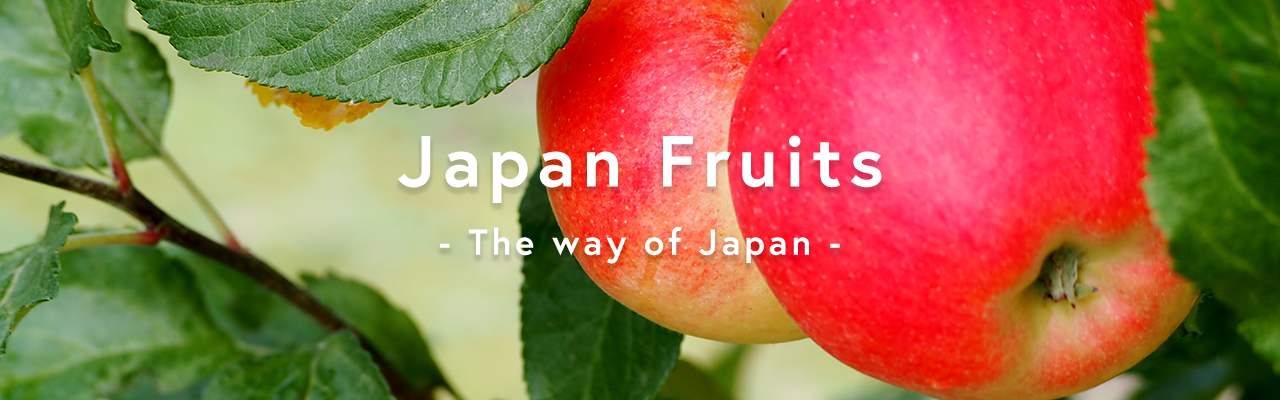 Japan Fruits