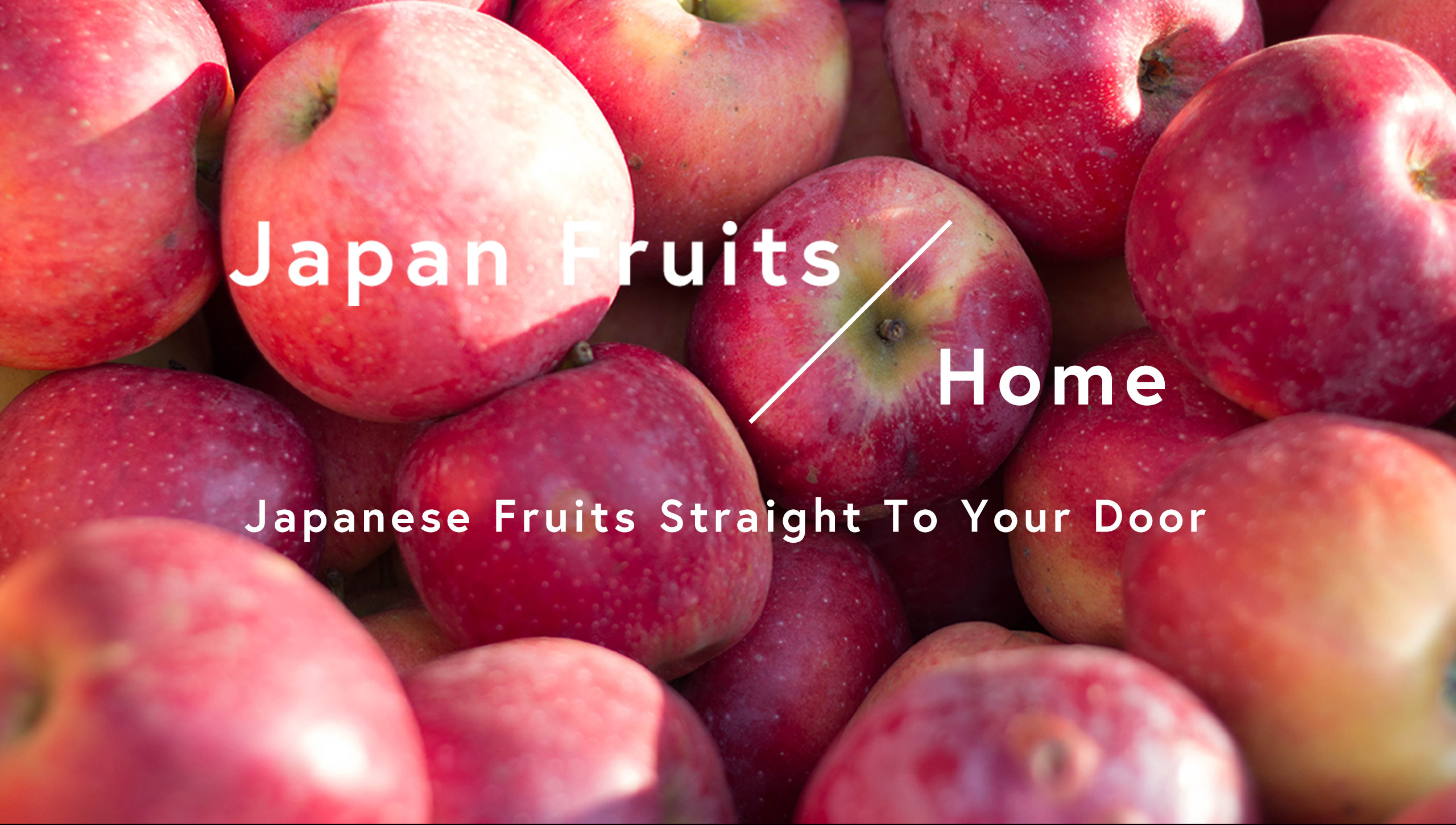 Japanese Fruits Straight To Your Door - Japanese Fruits Straight To Your Door