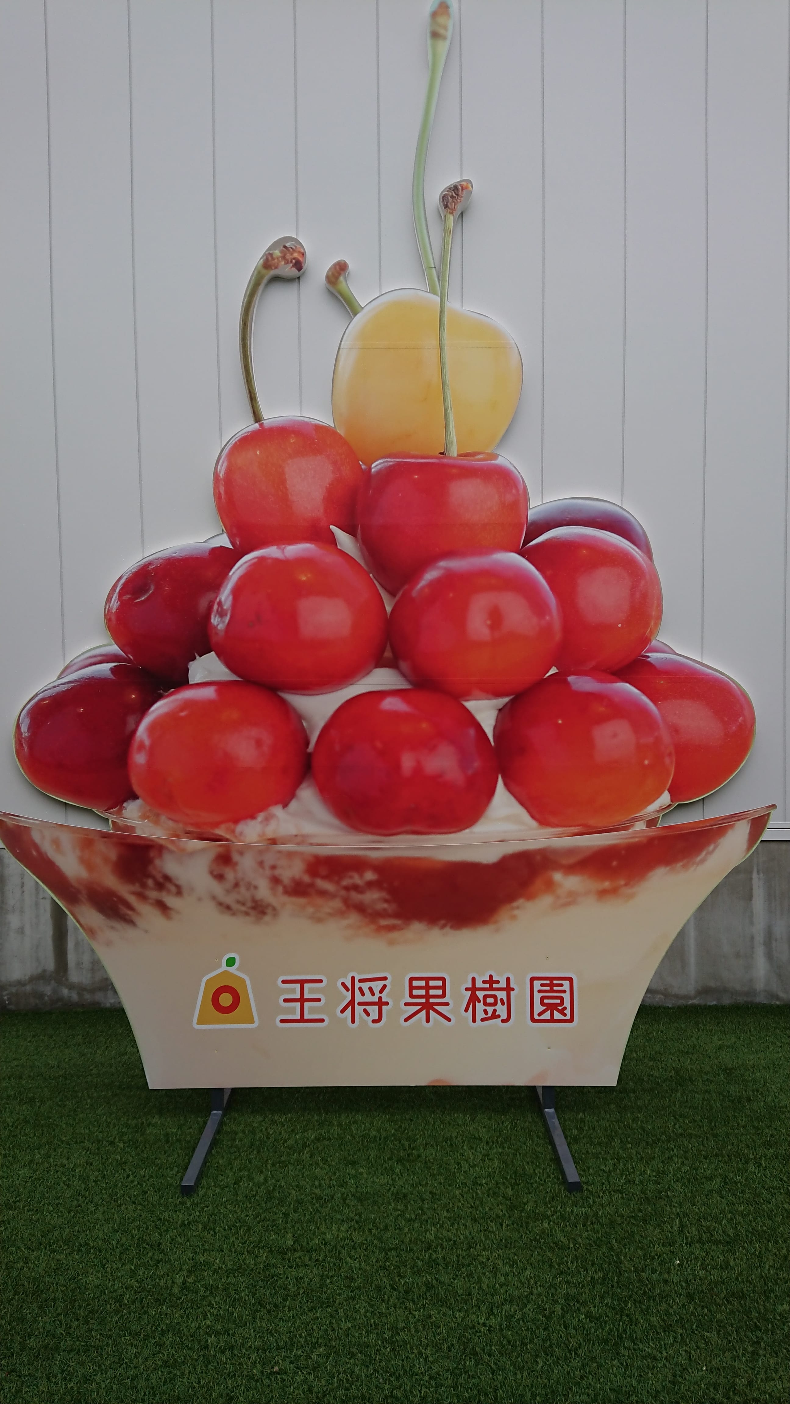 4106894291b55524f43787c5cd4386 