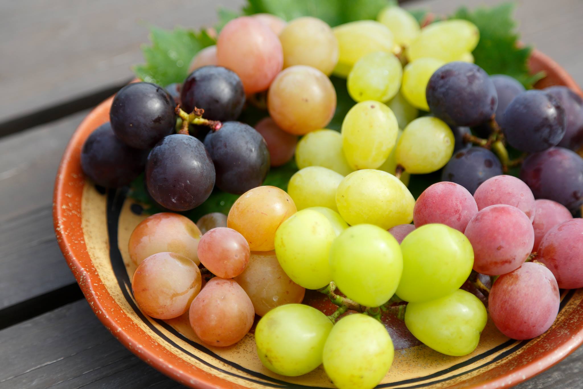 高山果樹園 | Japan Fruits - 日本のフルーツ狩り・フルーツ情報サイト 高山果樹園 | Japan Fruits - 日本のフルーツ狩り・フルーツ情報サイト