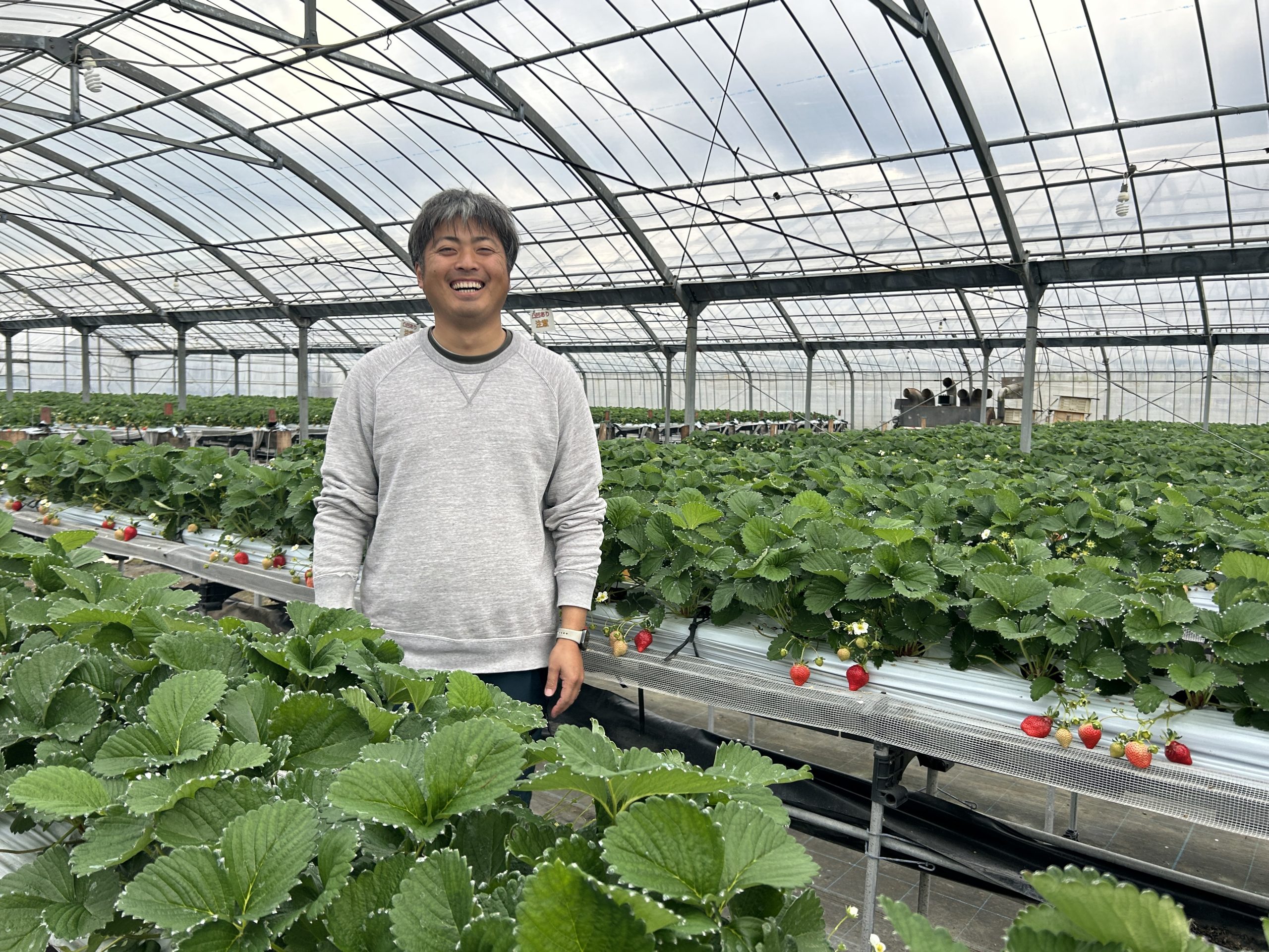 28d36f08502cb7a2020261a23c3a27