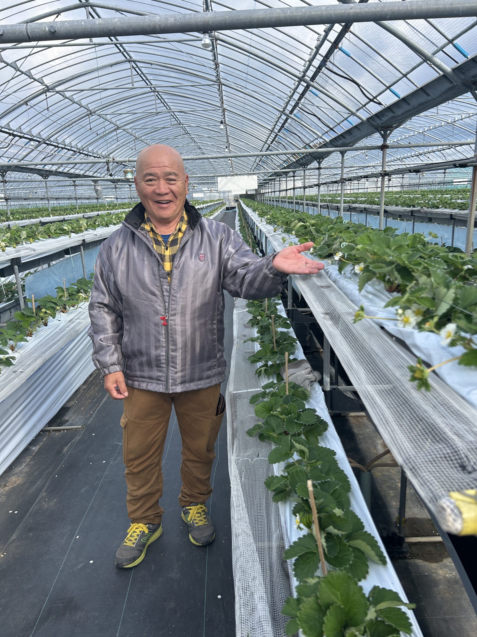 谷口観光いちご園 | Japan Fruits - 日本のフルーツ狩り・フルーツ情報