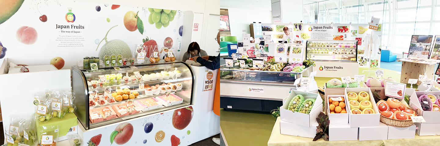 Japan Fruits 空港事業特集 | Japan Fruits - 日本のフルーツ狩り
