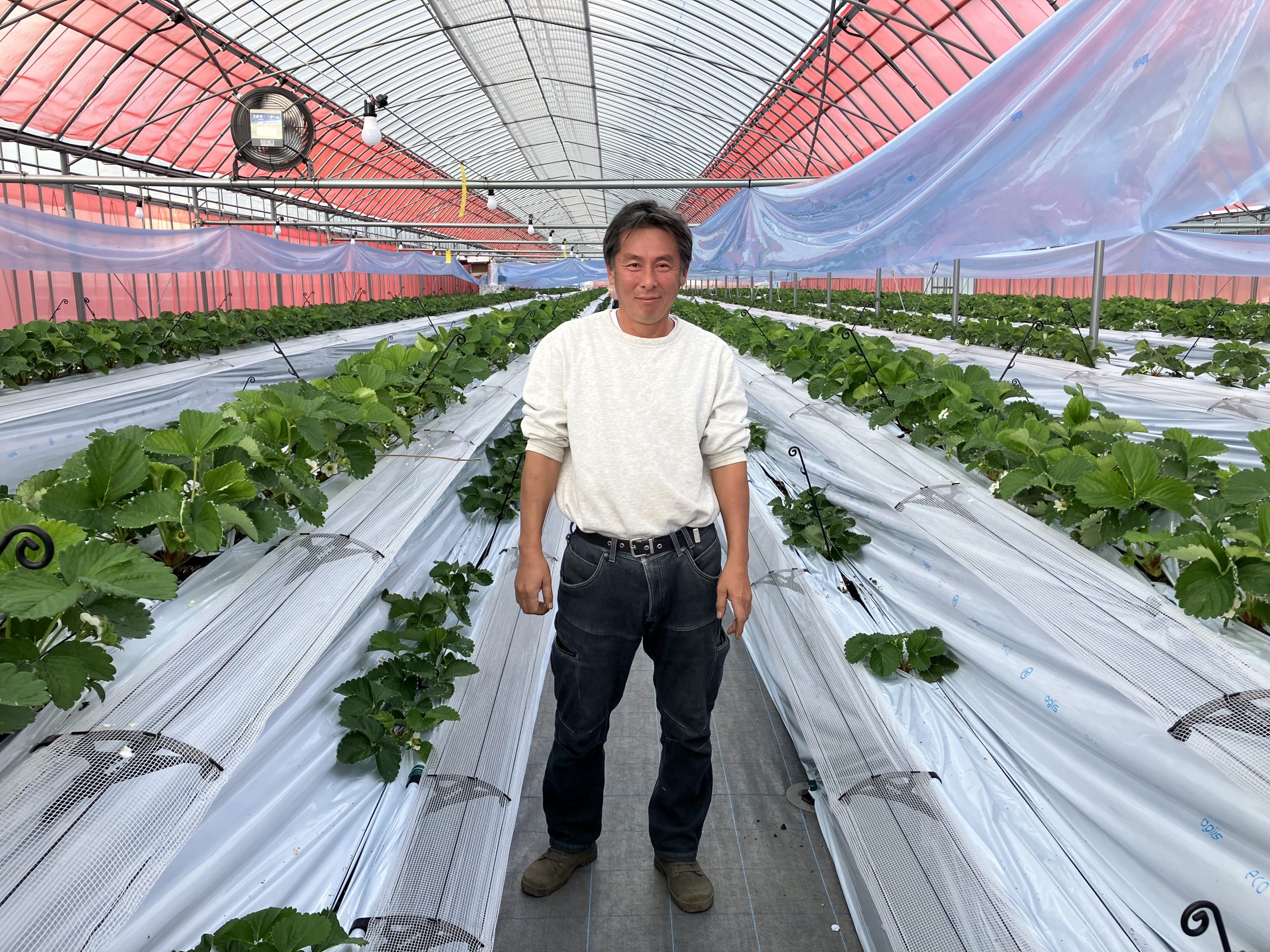 9700c833ef2a9f0edbc620a0dd965c